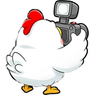 Kamerakyckling â Chicken Road Race