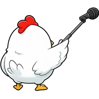 Reporter â Chicken Road Race