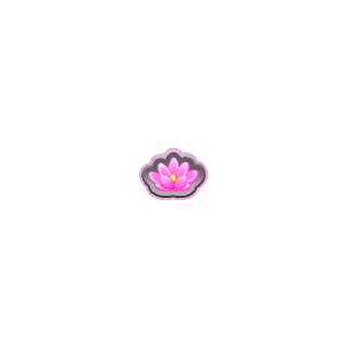 Lotus â Frog Road