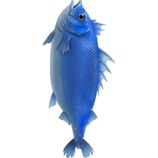 BlĂ„ fisk â Ice Fish