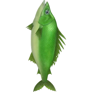 Grön fisk â Ice Fish