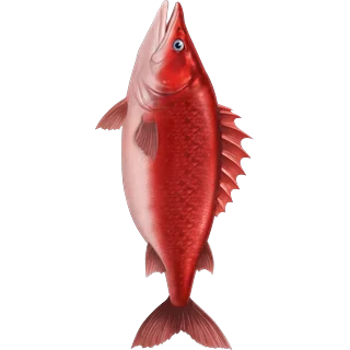 Röd fisk â Ice Fish